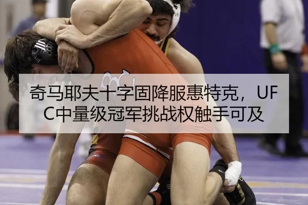 qi-ma-ye-fu-shi-zi-gu-xiang-fu-hui-te-ke-zhong-liang-ji-guan-jun-tiao-zhan-quan-chu-shou-ke-ji-2-821.jpg